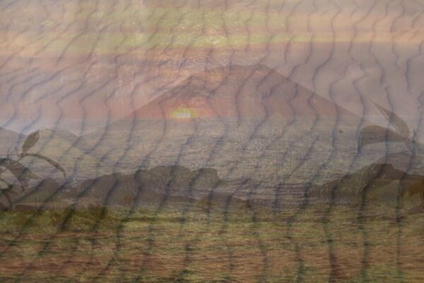 nature-collage