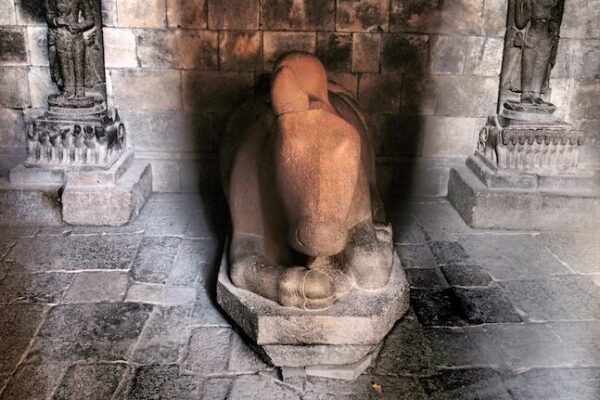 Nandi-Shivas-cow-at-Prambanan