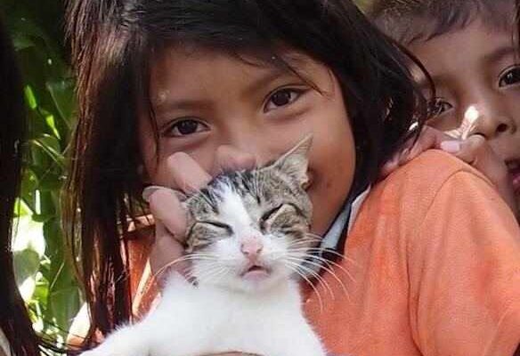 indigenous kids with cat